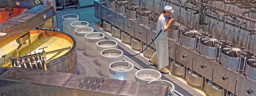 Worker in a food processing factory