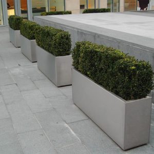 Kent's Rectangle Planter in use