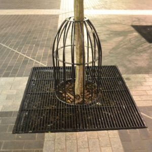 Close up of Kents bird cage tree guards on a street
