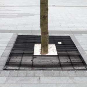 Kents Kensington tree grille for tree protection